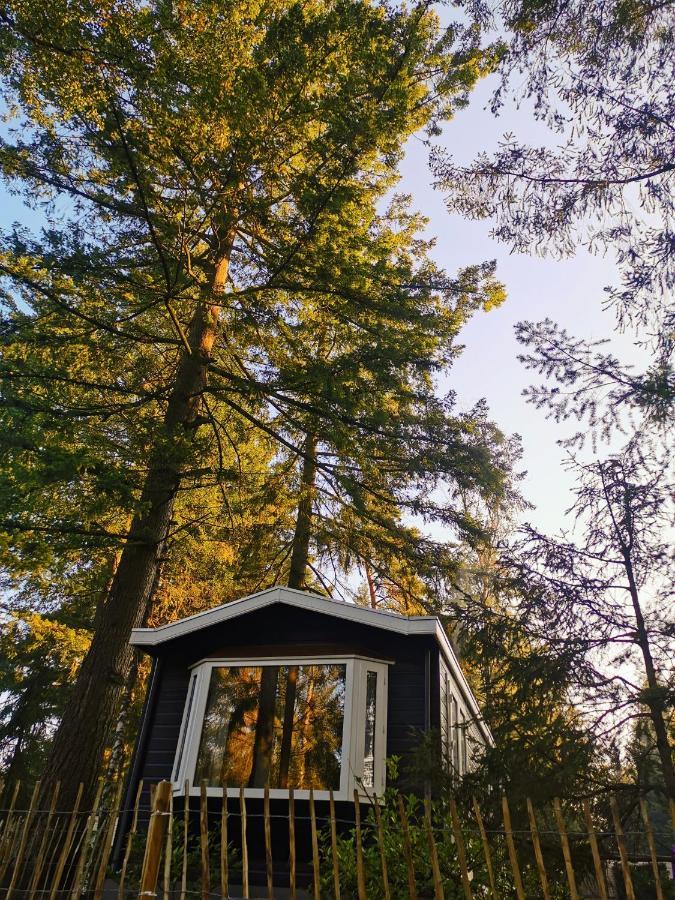 Boslodge 84 Vorden Exterior foto